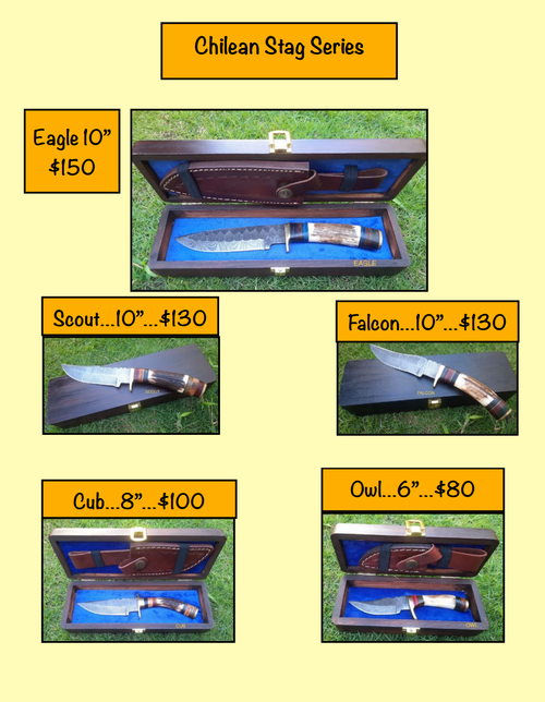 Chilean Stag Series